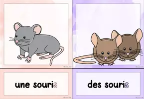 Vorschau - Präsentationen/Tafelbilder - Cartes d'images: Le pluriel des noms (Tafelmaterial) #edukilights22 - Seite 3