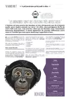 Aperçu - Jeux - TU SAVAIS PAS N°12 – Que les singes Bonobo sont nos plus proches cousins ! - Page 1