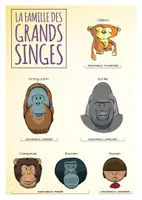 Aperçu - Jeux - TU SAVAIS PAS N°12 – Que les singes Bonobo sont nos plus proches cousins ! - Page 2