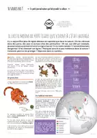 Aperçu - Jeux - TU SAVAIS PAS N°17 Que le tigre est le plus grand des félins ! - Page 1