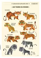 Aperçu - Jeux - TU SAVAIS PAS N°17 Que le tigre est le plus grand des félins ! - Page 2