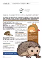 Aperçu - Jeux - TU SAVAIS PAS N°22 Que les hérissons prennent soin de nos jardins ! - Page 1