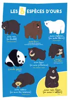 Aperçu - Apprentissages en autonomie - TU SAVAIS PAS N°31 Que les ours blancs ne sont pas blancs ! - Page 2