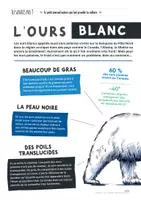 Aperçu - Apprentissages en autonomie - TU SAVAIS PAS N°31 Que les ours blancs ne sont pas blancs ! - Page 3