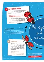 Aperçu - Apprentissages en autonomie - TU SAVAIS PAS N°33 Que les points de la coccinelle n’ont rien à voir avec son âge ! - Page 3
