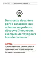 Aperçu - Jeux - TU SAVAIS PAS N°38 Que les animaux aussi partent en voyage ! Partie 2 - Page 1