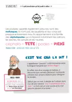 Aperçu - Apprentissages en autonomie - TU SAVAIS PAS N°41 Que les pieuvres peuvent changer de couleur et de forme ! - Page 1