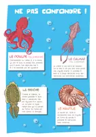 Aperçu - Apprentissages en autonomie - TU SAVAIS PAS N°41 Que les pieuvres peuvent changer de couleur et de forme ! - Page 2