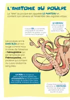 Aperçu - Apprentissages en autonomie - TU SAVAIS PAS N°41 Que les pieuvres peuvent changer de couleur et de forme ! - Page 3