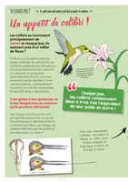 Aperçu - Apprentissages en autonomie - TU SAVAIS PAS N°42 Que les colibris sont dotés de capacités extraordinaires ! - Page 3