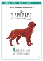 Aperçu - Jeux - TU SAVAIS PAS N°43 Que ces chiens sont des héros ! - Page de couverture