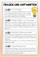 Vorschau - Arbeitsblätter - Arbeitsheft Flüchtlinge - Grundschule - Seite 2