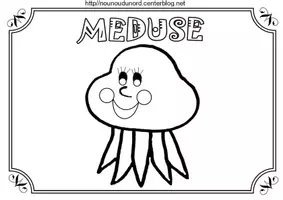 Aperçu - Matériel pour travaux manuels / dessin - Coloriages Méduse - Page de couverture
