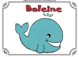 Aperçu - Matériel pour travaux manuels / dessin - Coloriages Baleine - Page de couverture
