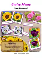 Aperçu - Apprentissages en autonomie - Cartes Fleurs type Montessori - Photos réelles - Page de couverture