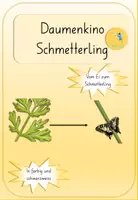 Vorschau - Spiele - Vom Ei zum Schmetterling Daumenkino - Deckblatt