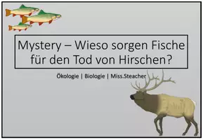 Vorschau - Arbeitsblätter - Mystery | Ökologie - Wieso sorgen Fische für den Tod von Hirschen? - Seite 2