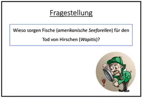 Vorschau - Arbeitsblätter - Mystery | Ökologie - Wieso sorgen Fische für den Tod von Hirschen? - Seite 3