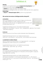 Vorschau - Fördermaterial/Inklusion - Stoffeigenschaften von weißen Pulvern untersuchen - Seite 2