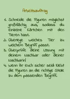 Aperçu - Feuilles d'exercices - Apprendre l'allemand - Fiches d'exercices sur le thème des animaux - Page 1