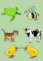 Aperçu - Feuilles d'exercices - Apprendre l'allemand - Fiches d'exercices sur le thème des animaux - Page 2