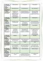 Vorschau - Arbeitsblätter - Zentrales Nervensystem (videogestützt) - Seite 2