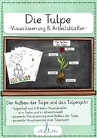 Vorschau - Unterrichtsreihen - Die Tulpe - Arbeitsblätter + Visualisierungen zum Tulpenaufbau und -jahr - Deckblatt