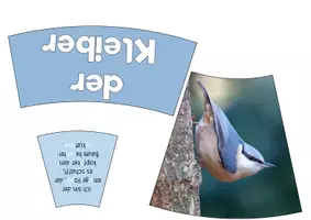 Vorschau - Poster - Rätsel-Legekreis "Heimische Vögel" - Seite 2