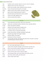 Vorschau - Arbeitsblätter - Spice up your language learning , thesaurus, vocabulary, thesaurus, version 2 - Seite 3
