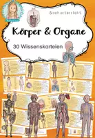 Vorschau - Unterrichtsreihen - Körper und Organe | Wissenskartei - Deckblatt