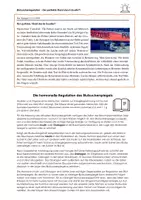 Vorschau - Arbeitsblätter - Blutzuckerregulation - Insulin vs. Glukagon - Seite 2