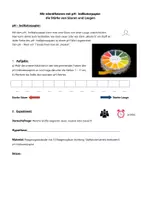 Vorschau - Arbeitsblätter - Säuren und Laugen identifizieren+ Differenzierung + Lösung - Deckblatt