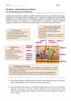 Vorschau - Arbeitsblätter - Die Haut - von der Berührung zur Empfindung - Seite 1