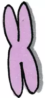 Vorschau - selbst erstellte Cliparts/Grafiken - 20 Cliparts für den Biologieunterricht - Seite 2
