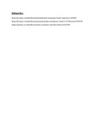 Vorschau - Bildkarten - Berühmte Persönlichkeiten innerhalb der "Französischen Revolution" - Seite 3