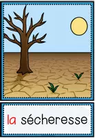 Vista previa - Tarjetas / Manipulativos - LES CATASTROPHES NATURELLES - Tarjetas de imágenes y palabras - página 3