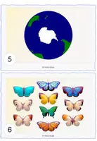 Vorschau - Arbeitsblätter - Lesespaziergang Schmetterling - Seite 3