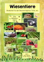 Vorschau - Präsentationen/Tafelbilder - Tiere auf der Wiese - digitale Bildkarten - Deckblatt
