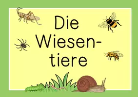 Vorschau - Präsentationen/Tafelbilder - Tiere auf der Wiese - digitale Bildkarten - Seite 2