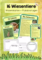 Vorschau - Stundenentwürfe - Tiere auf der Wiese - Materialpaket - Seite 1