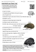 Vorschau - Arbeitsblätter - Lernposter + Arbeitsblatt "Igel" + Onlineübung & MP3 + Mindmap + Infografik - Seite 1