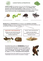 Vorschau - Arbeitsblätter - Lebende Fossilien und Mosaikformen (Belege der Evolution) - Deckblatt