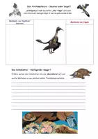 Vorschau - Arbeitsblätter - Lebende Fossilien und Mosaikformen (Belege der Evolution) - Seite 3