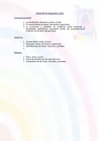 Vista previa - Unidades / Secuencias / Situaciones de Aprendizaje - Planificación de Geometría - página 2