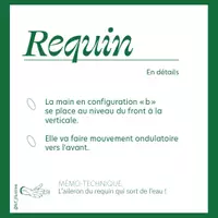 Aperçu - Apprentissages en autonomie - Requin - Page 3