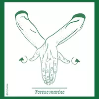 Aperçu - Apprentissages en autonomie - Tortue marine - Page 2