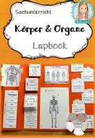 Vorschau - Unterrichtsreihen - Körper | Organe | Mensch | Skelett - Seite 1