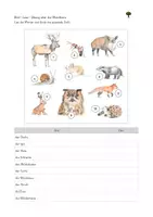 Vorschau - Arbeitsblätter - Differenzierte Bild-Lese-Übung: Thema Waldtiere - Deckblatt
