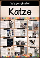 Vorschau - Stationenlernen - Katzen - Wissenskartei - Deckblatt