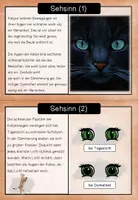 Vorschau - Stationenlernen - Katzen - Wissenskartei - Seite 3